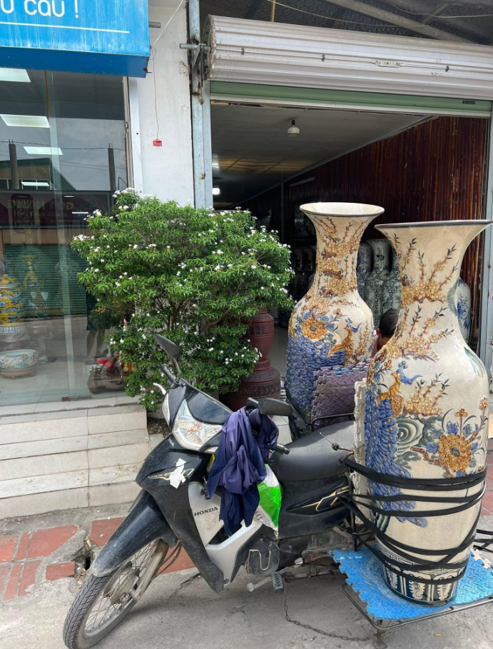 LỘC BÌNH MẠ VÀNG 2